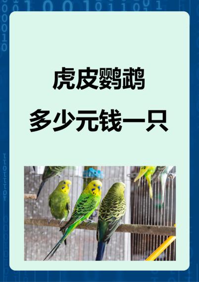 鹦鹉什么时候买最便宜