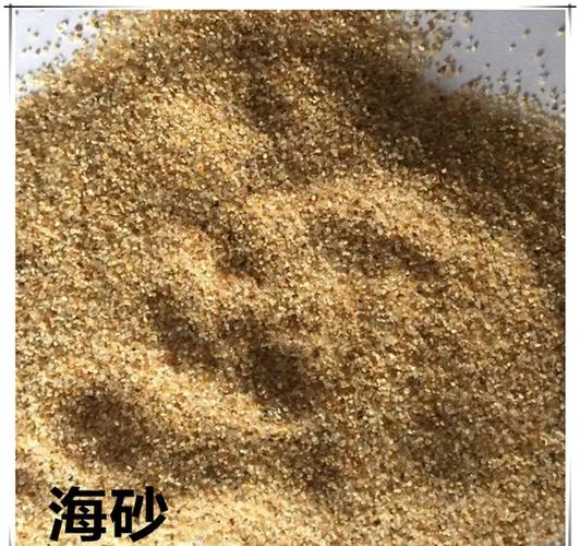 海沙和河沙的区别