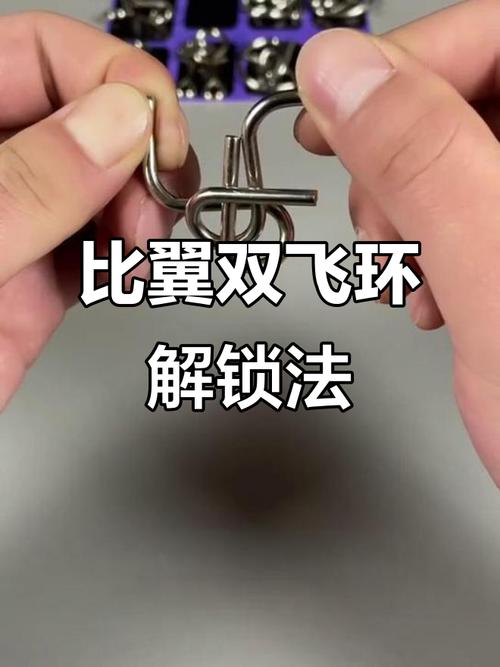智力扣比翼双飞的解法