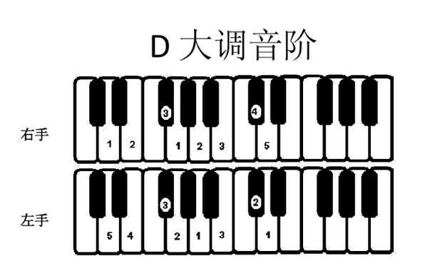 电子琴的12音调图