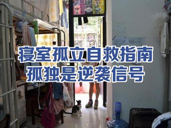 被舍友孤立了该怎么办