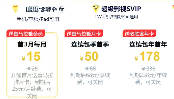 vip包月是怎么算的