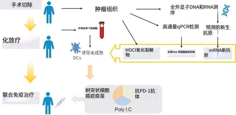 Ebv 治疗的办法