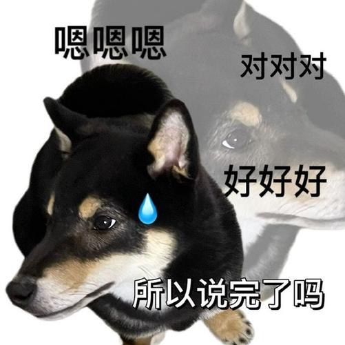 黑柴表情包
