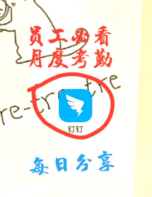 钉钉每天最多能量多少缩略图