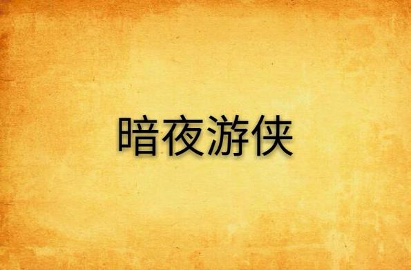 暗夜游侠