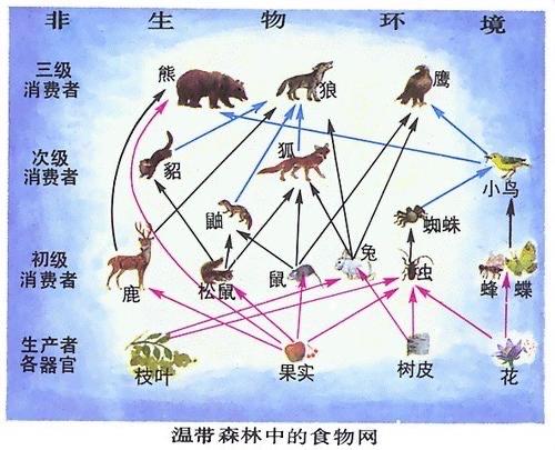 万物包括哪些缩略图