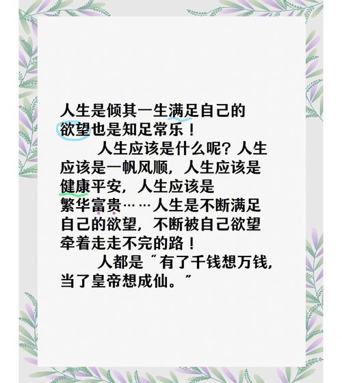 人生2.0版本是什么意思