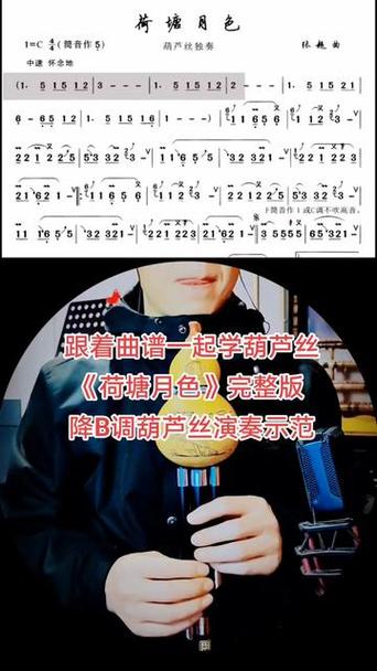 荷塘月色葫芦丝配乐