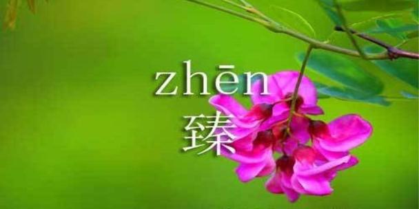 臻品怎么读