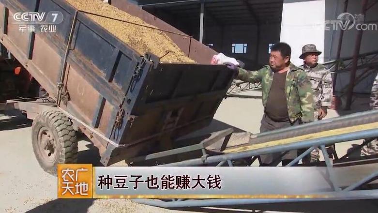 豆子赚