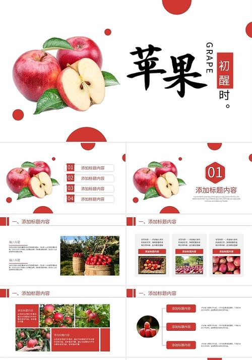 苹果公司简介