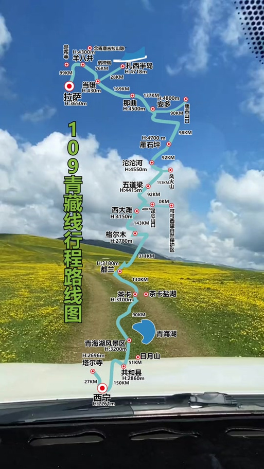 老陈李青青藏线