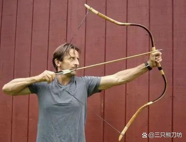 传统弓一般寿命多久