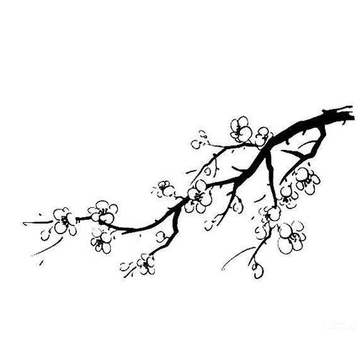 梅花简笔画图片截图