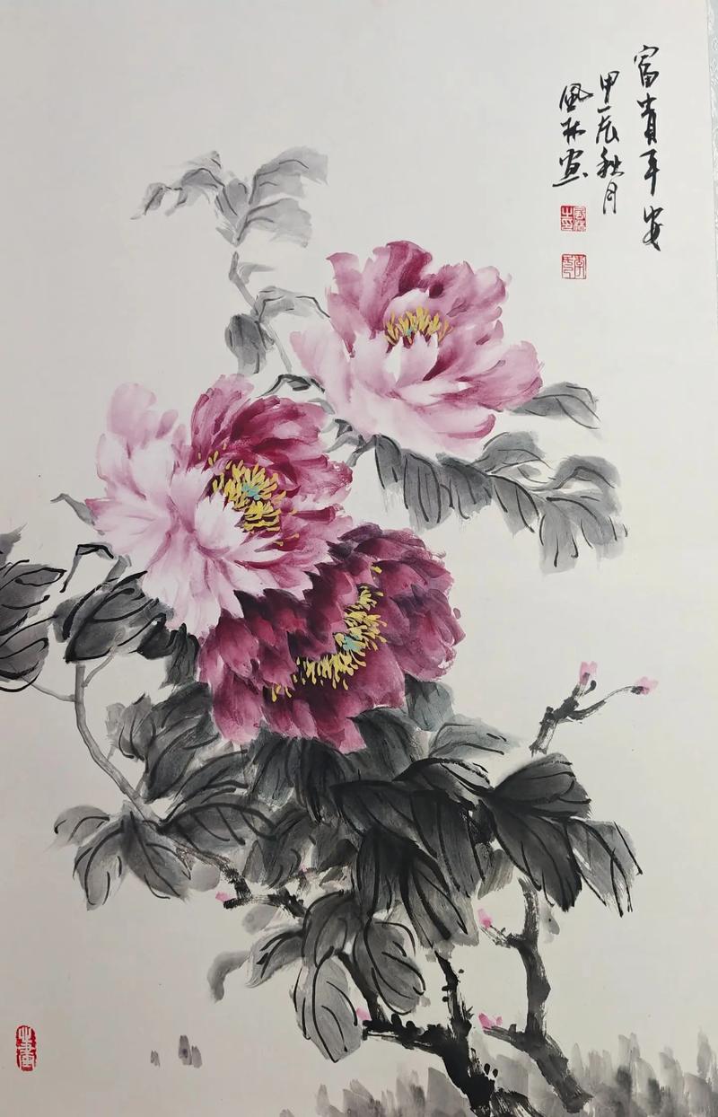 赵日天最新作品