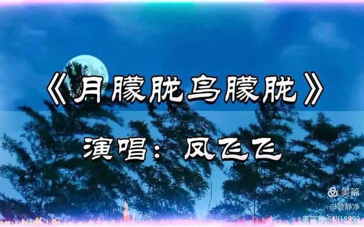 邓丽君《月朦胧鸟朦胧》