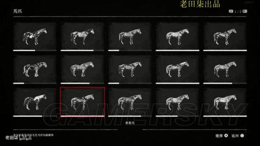 荒野大镖客2解锁马匹黑市