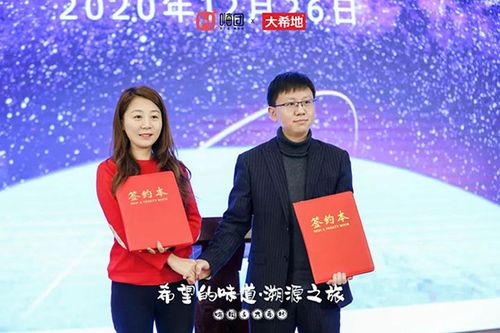 嗨团老板简历缩略图