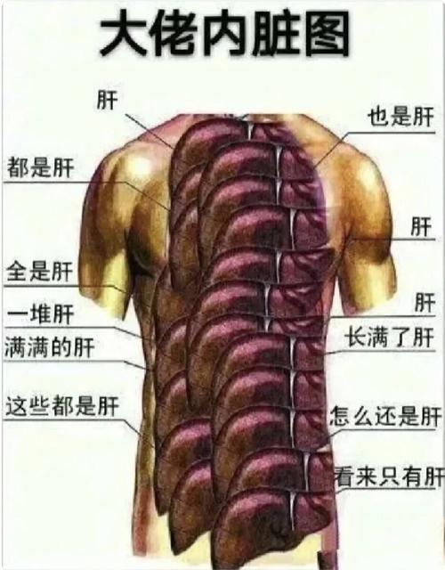 mc老哥肝帝建造售货机