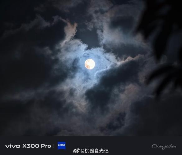 vivo专业模式拍月亮