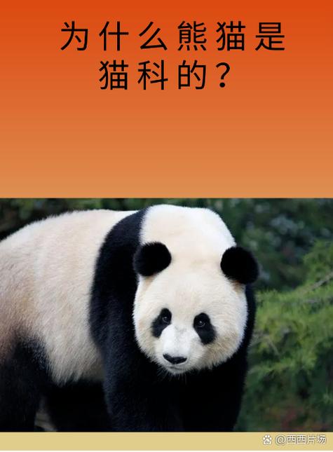 熊猫听听有二次收费吗