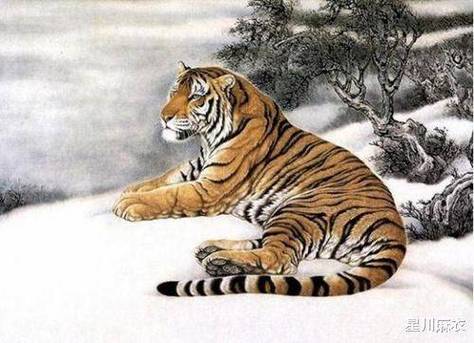 薇字最旺三个生肖缩略图