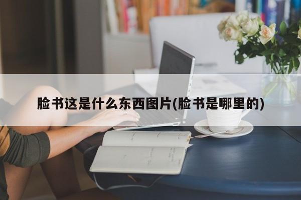 脸书和脸谱的区别