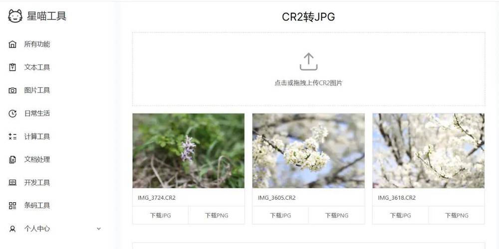 佳能照片cr2转换jpg