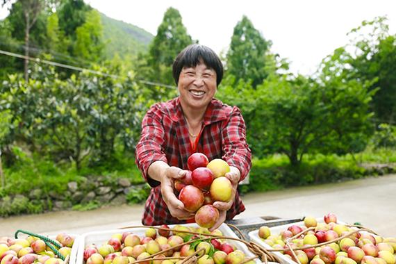 怎么形容果农的辛苦