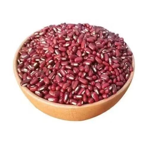 100g熟红豆热量