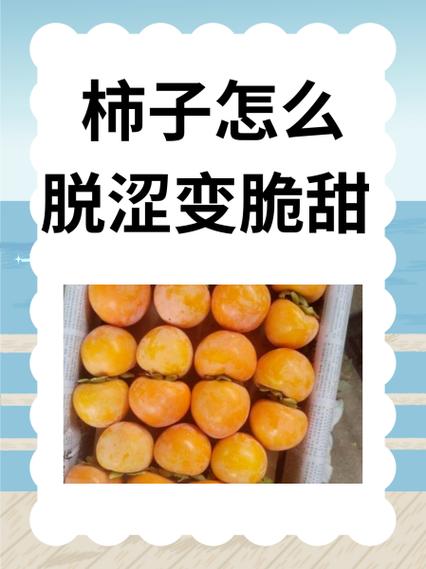 柿子怎么脱涩变脆甜