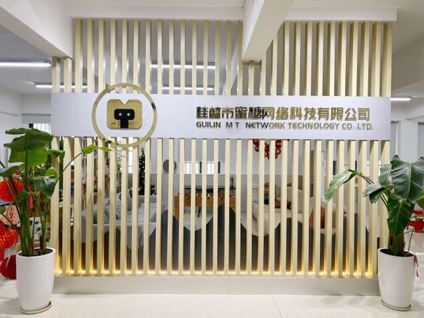 小蝌蚪电子商务有限公司
