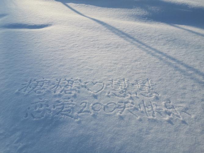 雪地写字截图