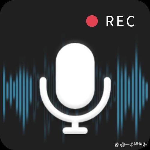 苹果6s plus怎么录音截图
