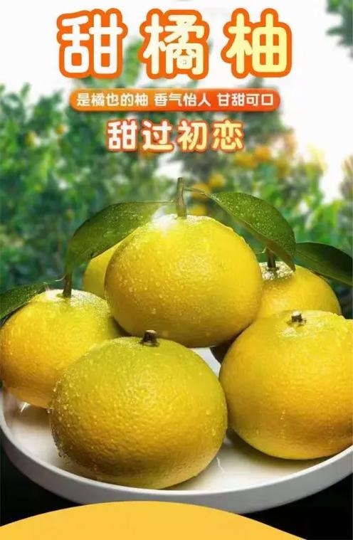 葡萄柚几月份最好吃