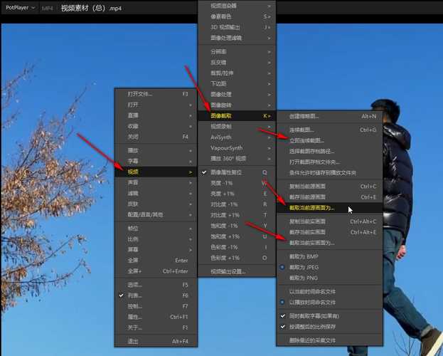 potplayer截图保存在哪里
