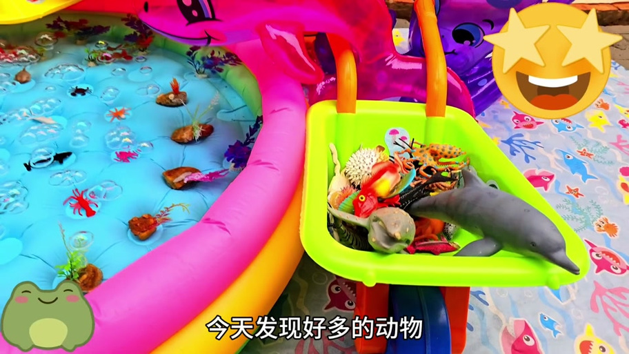 鲤鱼玩畸形动物园的游戏