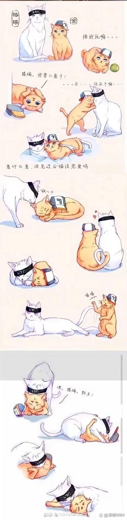 all千团宠