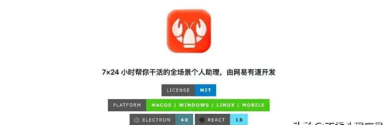网易版可用种子