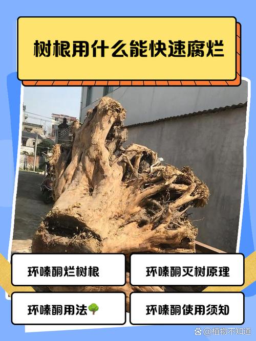 什么东西可以让树根快速腐蚀