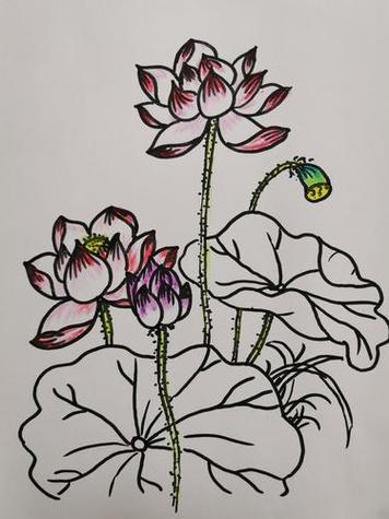 procreate古风笔刷