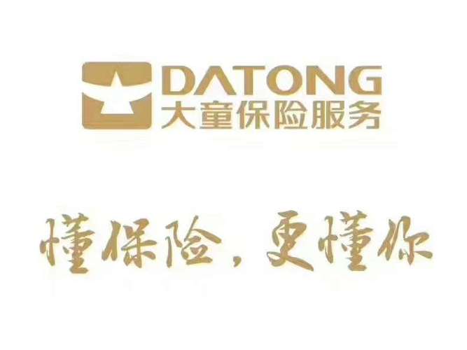 大童保险百度百科截图