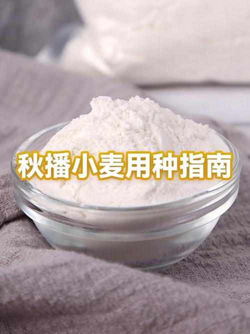 麦怎么用