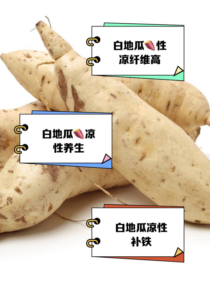白地瓜是凉性的吗