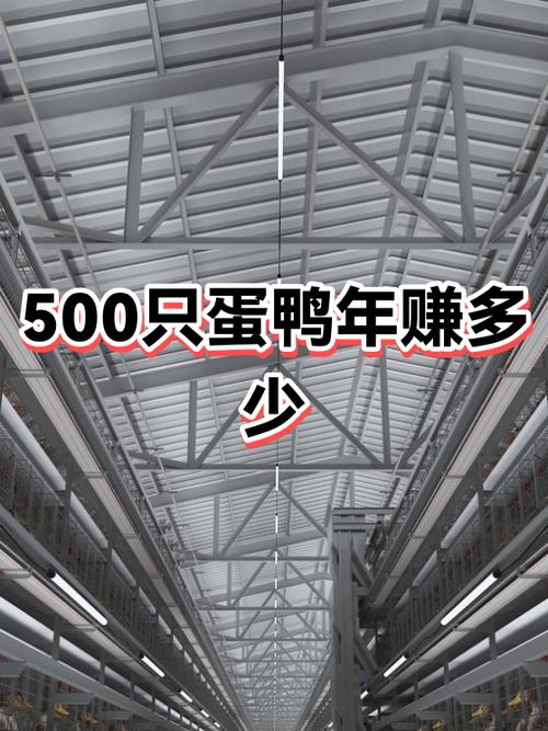 养蛋鸭100只一年收入