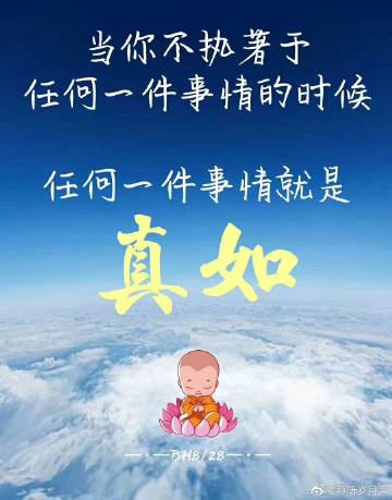极乐赞下载