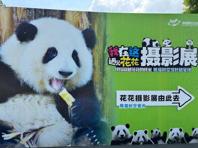 熊猫花花的父母去哪里了