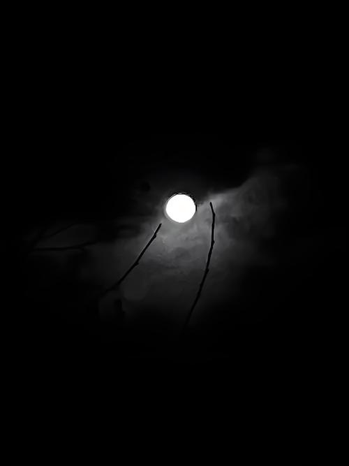月黑风高夜图片高清
