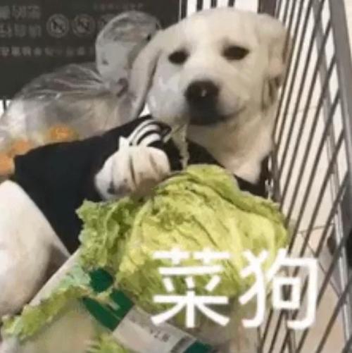女生说我太菜了